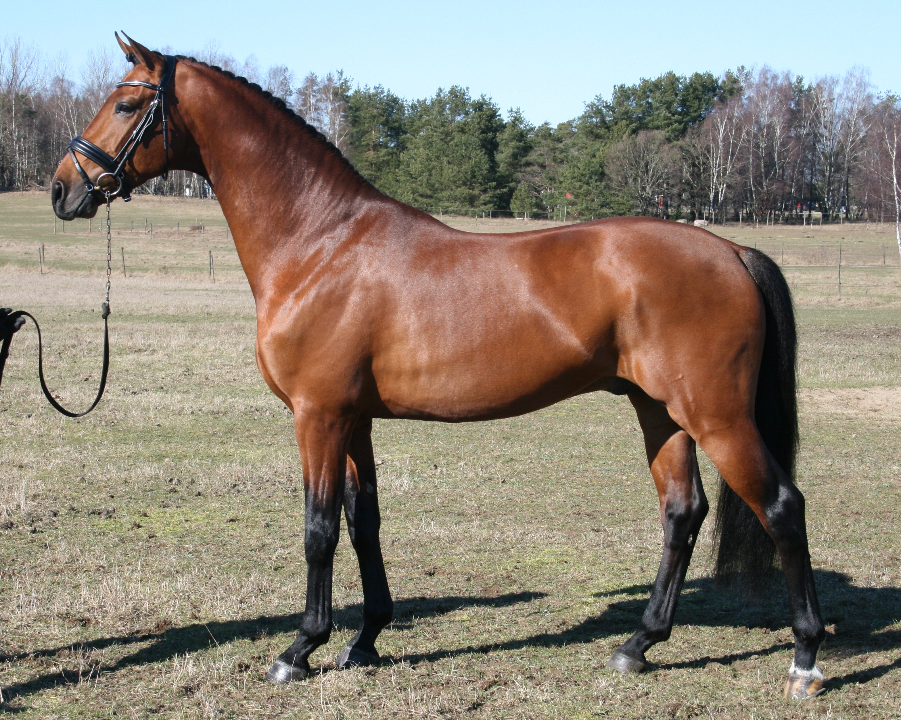 201703 Aideean 043 - Kopia