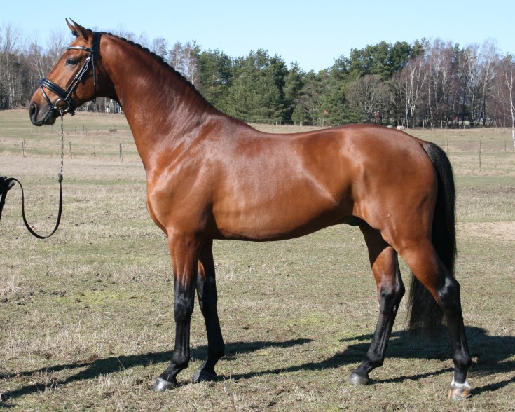 201703 Aideean 043 - Kopia